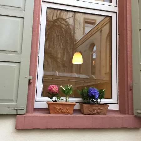 Vip Luxury Old Town City Center Apartment Heidelberg